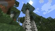 Image via Mojang